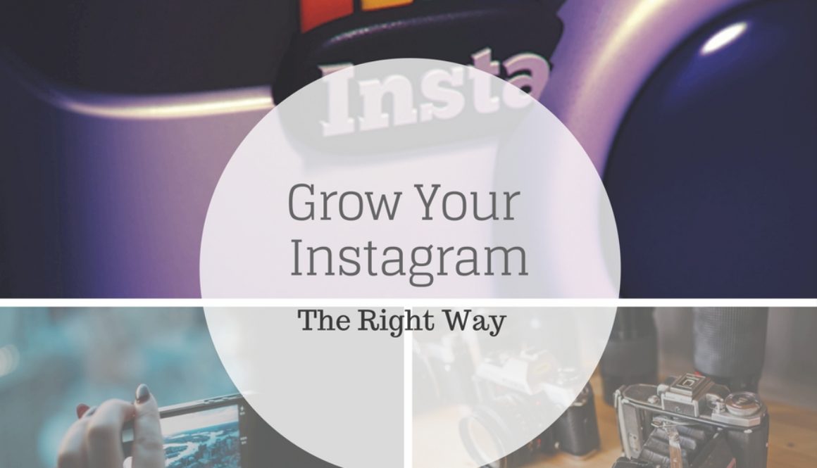 13 actionable tips to get your first 1000 Instagram followers and keep growing