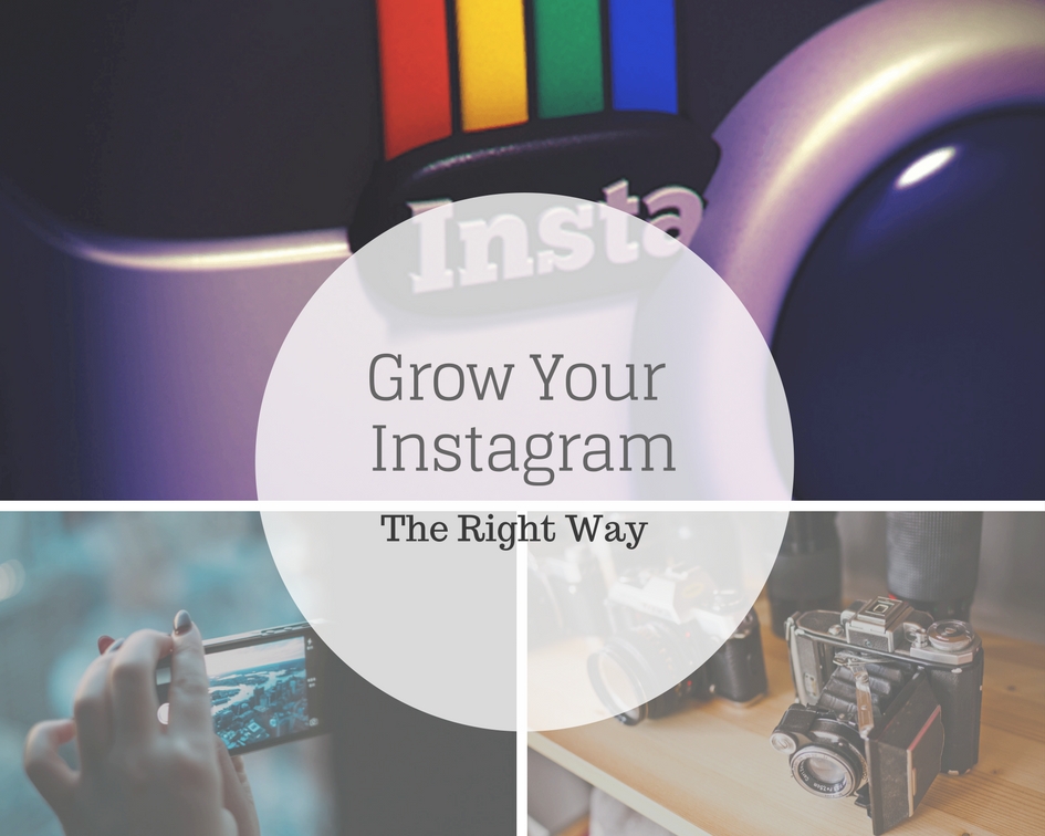 13 actionable tips to get your first 1000 Instagram followers and keep growing