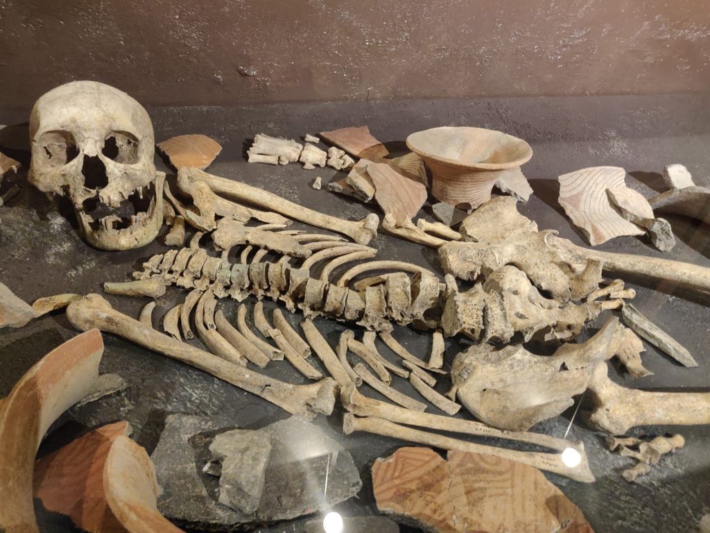 Skeletons from prehistoric times